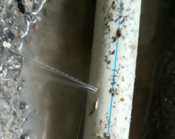白河卫生间测漏水多少钱