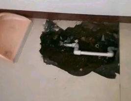 白河卫生间测漏水多少钱