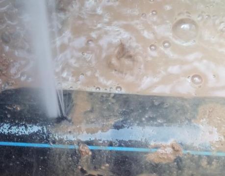 白河卫生间防水哪家好